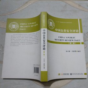 国家安全战略丛书：中国公共安全评论（第一卷）