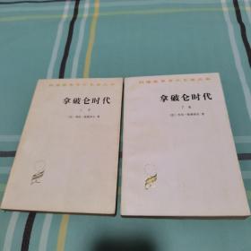 拿破仑时代 上下 1995年 私藏无勾画