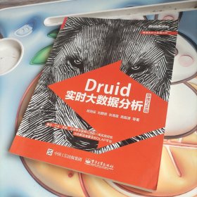 Druid实时大数据分析原理与实践