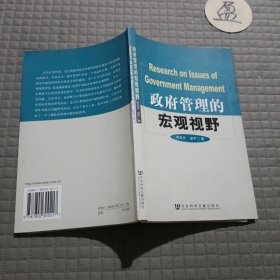 政府管理的宏观视野