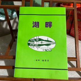 《湖畔》，此书是1980年在西子湖边成立的当代（现代新）湖畔诗社之诗文集，当时会长依然是汪静之，含纪念汪静之的文章，请参考目录