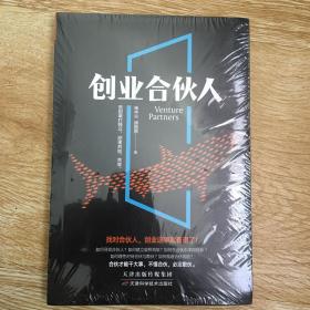 创业合伙人  未拆封