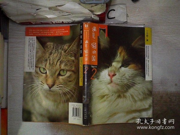 遇见·猫的国 第2季