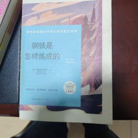 钢铁是怎样炼成的-八年级下教育部新编初中语文教材指定阅读书系(随书附赠能力训练手册）