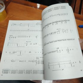 王惠然柳琴作品集