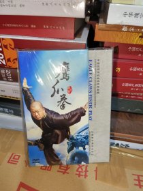 T鹰爪拳 DVD（河南民间传统武术经典套路）中、英、德、俄四语  未拆封全新正版