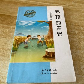 名家名作随身读—男孩的田野