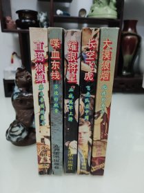 直捣狼巢第三帝国的覆亡 喋血东线苏德的较量 大漠狼烟北非的角斗 长空飞虎飞虎队在中国 耀眼将星二战美军上将