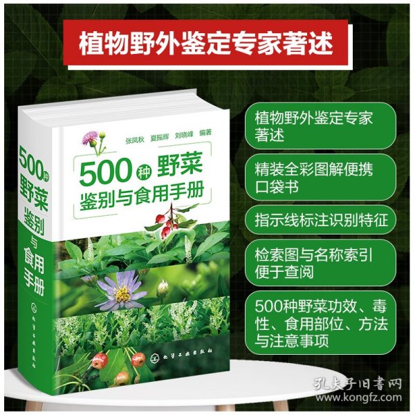 正版 500种野菜鉴别与食用手册 编者:张凤秋//夏振辉//刘晓峰| 化学工业