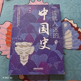 一读就人迷的中国史