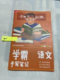 学霸手写笔记 语文