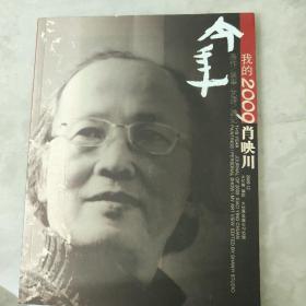 我的2009肖映川