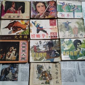 小人书，孟丽君，碧血剑，螳螂拳等十本