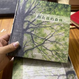 你在我的森林