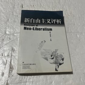 新自由主义评析