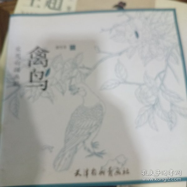 实用白描画稿：禽鸟