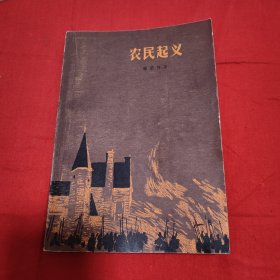 农民起义