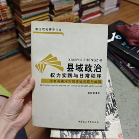 县域政治权力实践与日常秩序：河南省南河市的体验观察与阐释