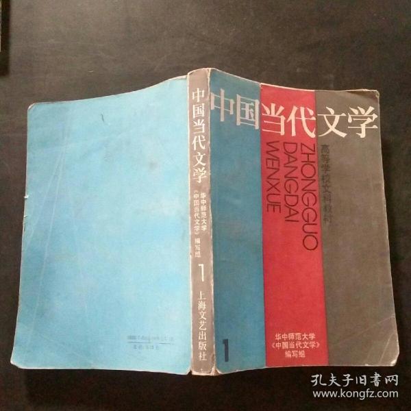 中国当代文学