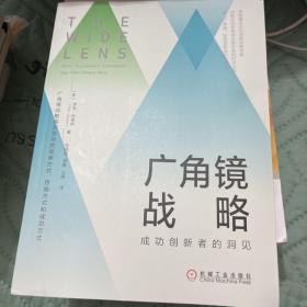 广角镜战略：成功创新者的洞见