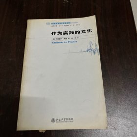 作为实践的文化