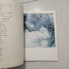 张立辰画集