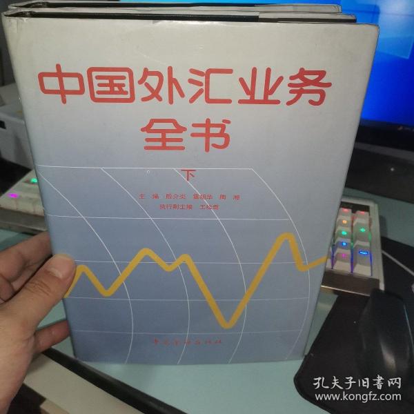 中国外汇业务全书