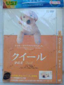 导盲犬dvd