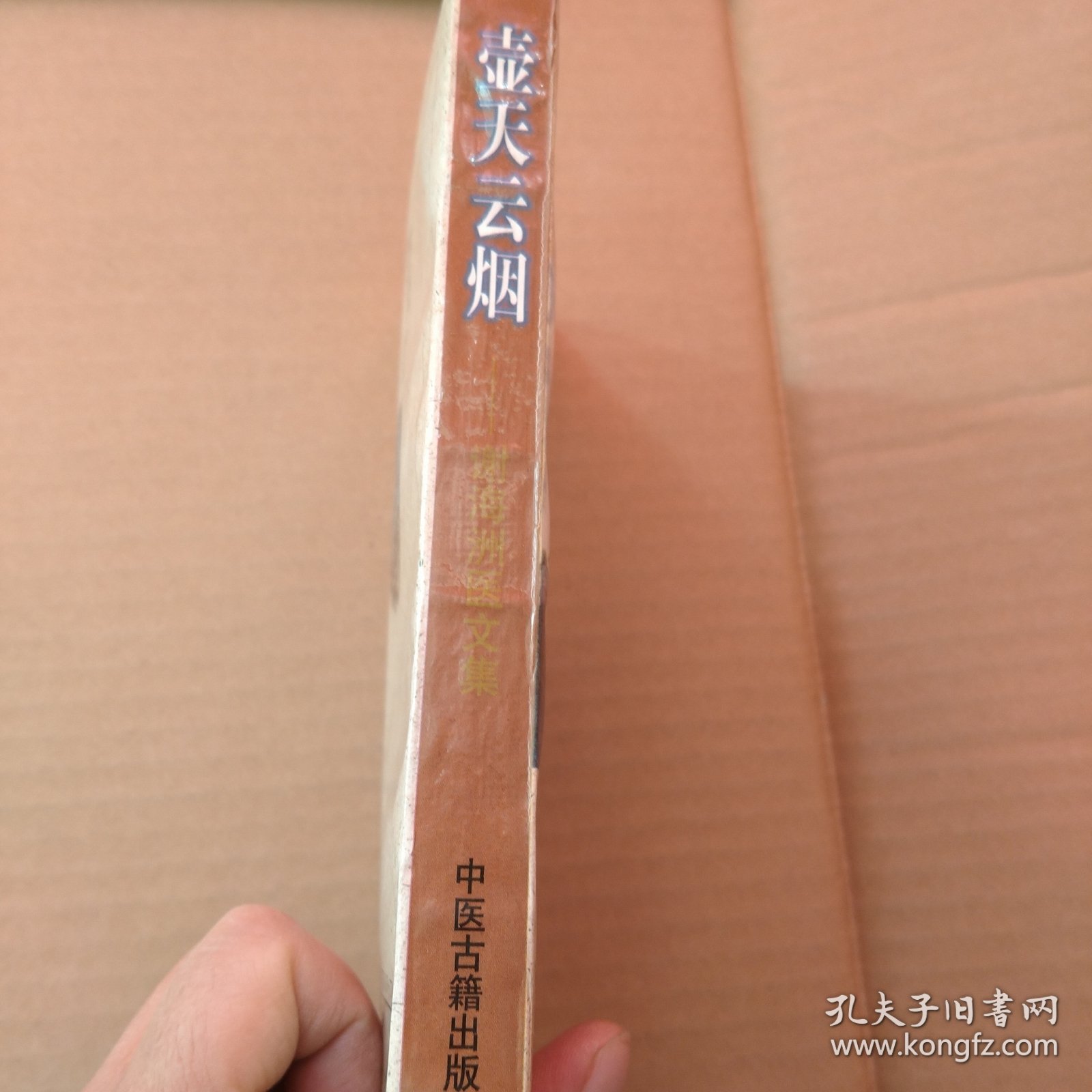 壶天云烟 谢海洲医文集