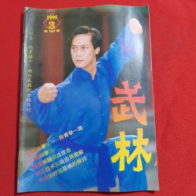 11763：武林 1995年第3期 泰国拳腿踢法攻击；如何练好太极拳内功；明八打实战应用图解；防卫技术实战应用图解；燕青拳一路；二指禅拳法；