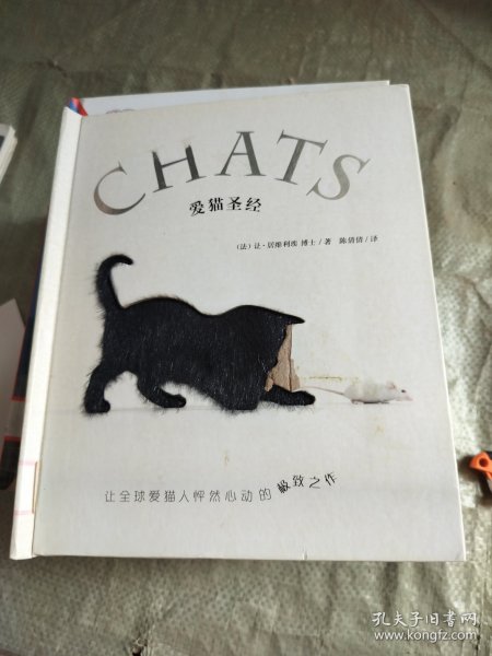 爱猫圣经