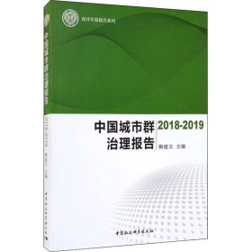 中国城市群治理报告-（（2018-2019））