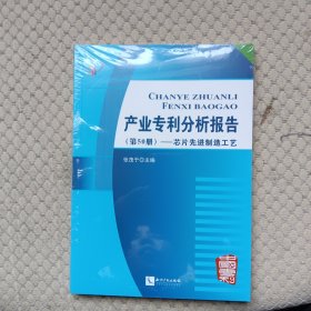 产业专利分析报告（第50册）——芯片先进制造工艺