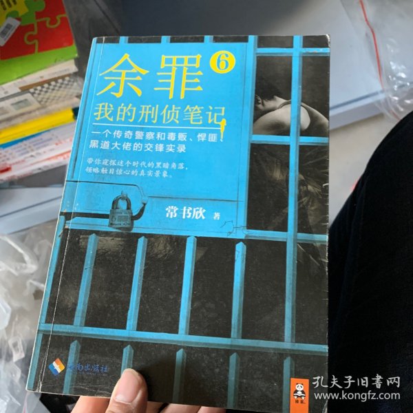 余罪6：我的刑侦笔记