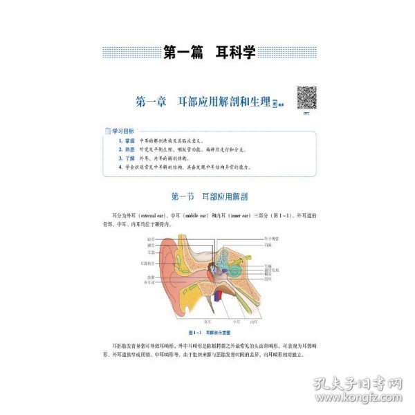 耳鼻咽喉头颈外科学（第2版）（）