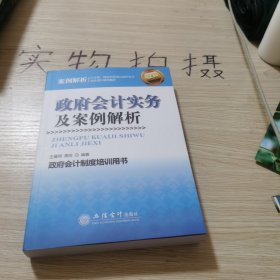 政府会计实务及案例解析