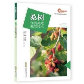 【助力乡村振兴出版计划·现代种植业实用技术系列】桑树优质高效栽培技术