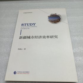 新疆城市经济效率研究