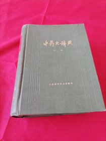 中药大辞典（下册）