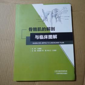 骨骼肌的解剖与临床图解