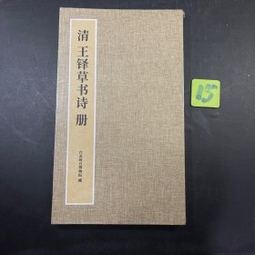 书法帖 清王铎草书诗册 豪华经折装