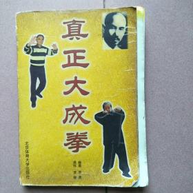 真正大成拳（彩页有脱落，品如图自鉴）