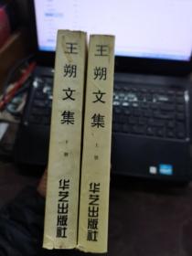 王朔文集（上下册）