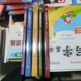 全面建成小康社会湖北全景录（左上有点伤如图），湖北大事记，湖北变迁志，湖北影像记，湖北奋斗者共5本合售包邮