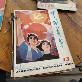 中国青年1981年13.14.15.16.20.21.22.23-24合刊（8本9期，私人合订本第23期总目录被撕掉四页