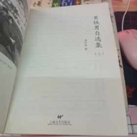 黄铁男自选集 上