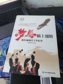 为梦想插上翅膀 : 新长城助学项目十年往事