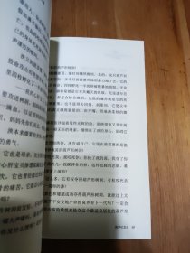 动物小说大王沈石溪·品藏书系：侏罗纪龙鸟