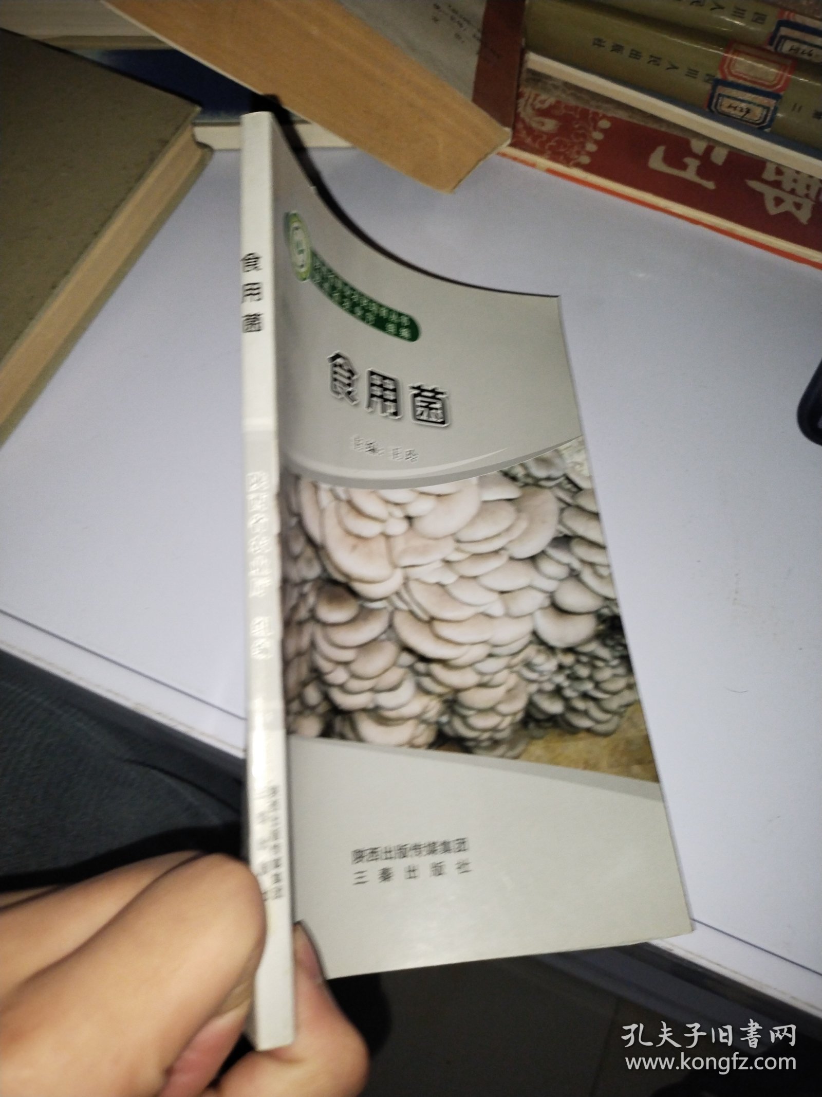 食用菌