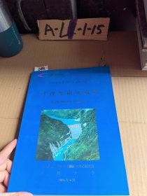 四川省大渡河长河坝水电站可行性研究报告施工截流整体水力模型试验